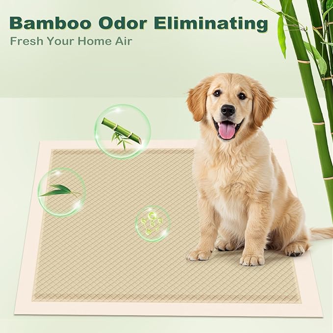 MIZOK Puppy Pads Small 22x22 Pee Pads for Dogs Bamboo Odor Eliminating & 6-Layer Absorbent Leak-Proof Dog Pee Pads Potty Training with Adhesive Tabs, Disposable (100 Counts)