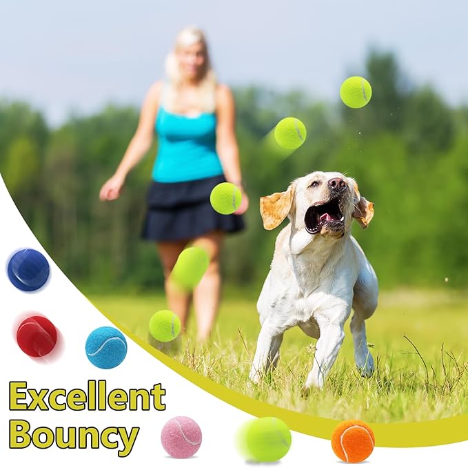 Swingers Squeaky Tennis Balls for Dogs,2.5 inch Training Tennis Balls,Exercise Ball for Pet Dog with Mesh Carry Bag Easy to Transport (Yellow, 60 Pack)
