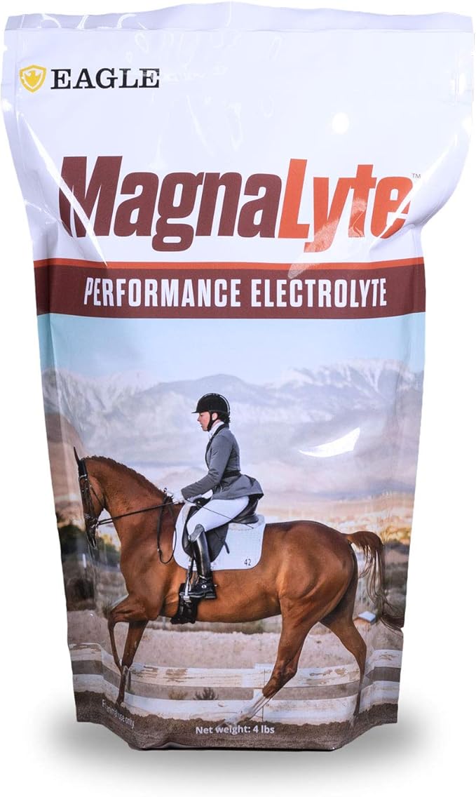MagnaLyte Loose Salt and Electrolytes for Horses by Eagle Equine | Mineral sea Salt, Trace Minerals, Electrolytes | 4 lb Bag