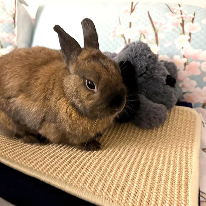 PODOO Bunny Scratch Pads, Sisal Rabbit Scratching Pad, Natural Rabbit Resting Mats for Cages, Forage Grass Mat Indoor Essentials Accessories for Guinea Pig Cat (2Pcs, 15.7x11.8 inches)