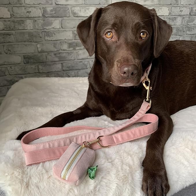 PETDURO Custom Dog Collar Personalized with Name Engraved Quick Release Rose Gold Metal Buckle for Large Medium Small Girl Dogs - Dog Leash and Bow Tie Available - Soft Comfy Velvet (Pink, XL)