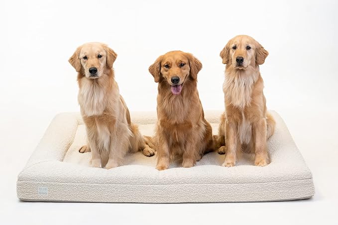 Luxury Boucle Orthopedic Memory Foam Dog Bed with Waterproof Liner and Machine Washable Cover with YKK Zippers (X-Large, 61" L x 44" W x 7" Th, Cloud)