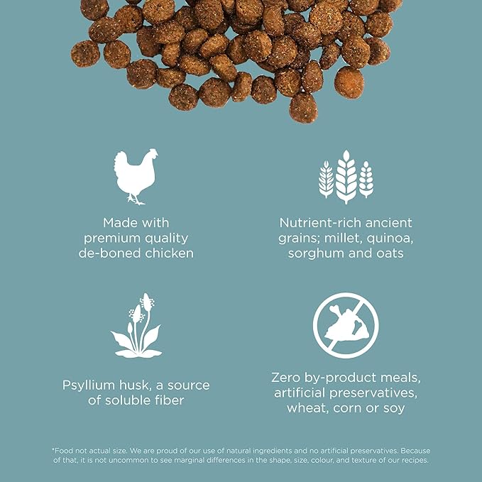 Go! Solutions Digestion + Gut Health, Dry Cat Food, Chicken Recipe with Ancient Grains, 12 lb Bag