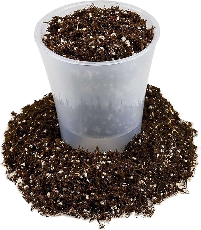Gardenera Fern + Perlite Soil Mix for Repotting and Planting Succulents and Cactuses - 2 Quart Bag