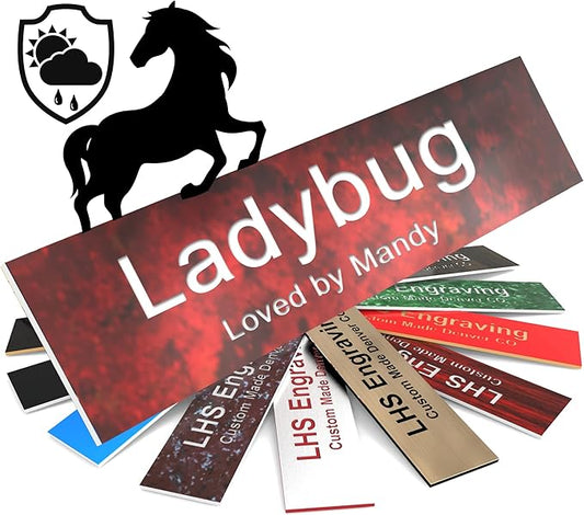 Personalized Horse Stall Name Plates, 2x6 Horse Stall Signs with Adhesive, All Weather UV Protected, Rustico Granite Plastic White Letters - Made in USA - S2