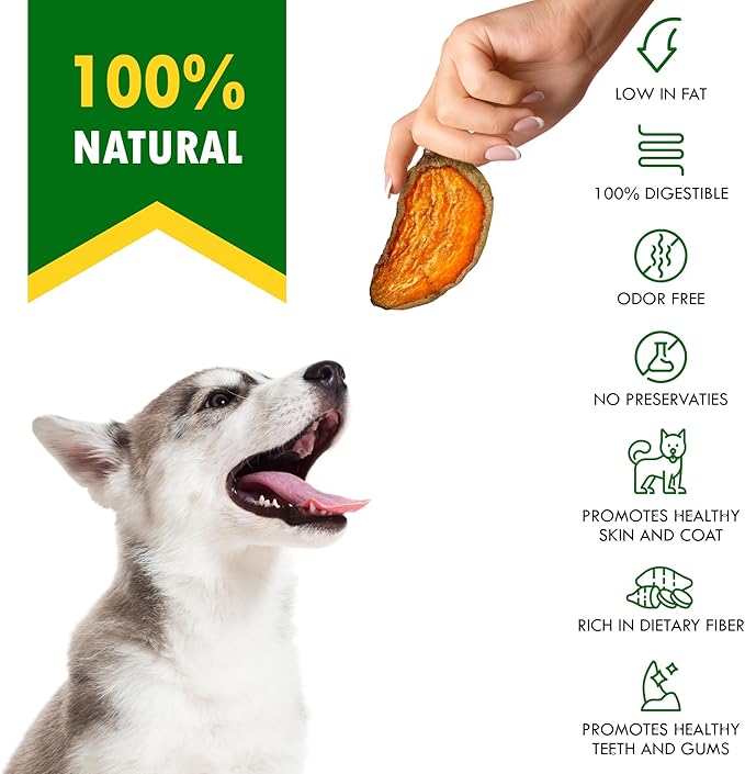 Dog Treats Sweet Potato Chips 11 oz - All Natural Pet Snack Chews - Grain Free & Human Grade Dried Snacks in Bulk - Best Jerky for Training Small & Large Dogs (Pack of 2)