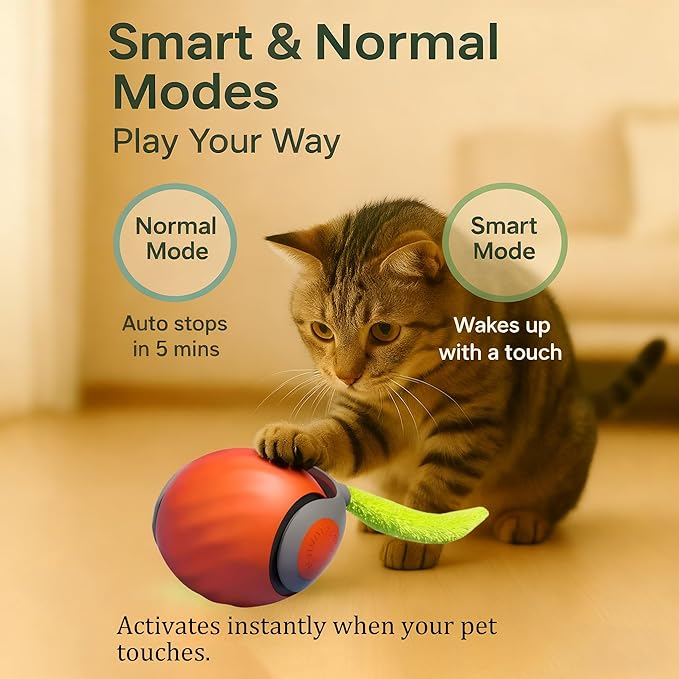 Cat Toys for Indoor Cats-Automatic Interactive Cat Toy with 2 Speeds Rechargeable Cat Enrichment Toys,Moving Cat Ball for Bored Kitties(Orange)