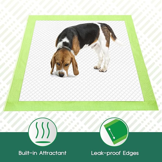 CROCI Puppy Pads 22x22in ECO Green Dog Pee Pads , Plant-Based Dogs Pads Absorbs Up to 4 Cups of Liquid, 5-Layer Leak-Proof & Quick Drying Pee Pads for Dogs, Disposable (50 Counts)