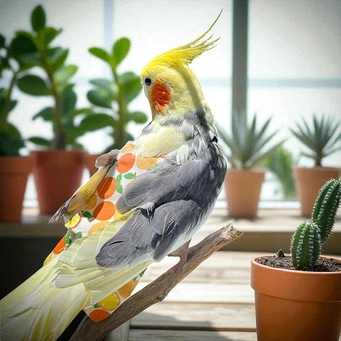 6PCS Washable Reusable Bird Diapers with Waterproof Lining & Adjustable Straps – Soft Parrot Diaper Clothes Costume Set for for Parakeets, for Budgies, for Mini Macaws (M)