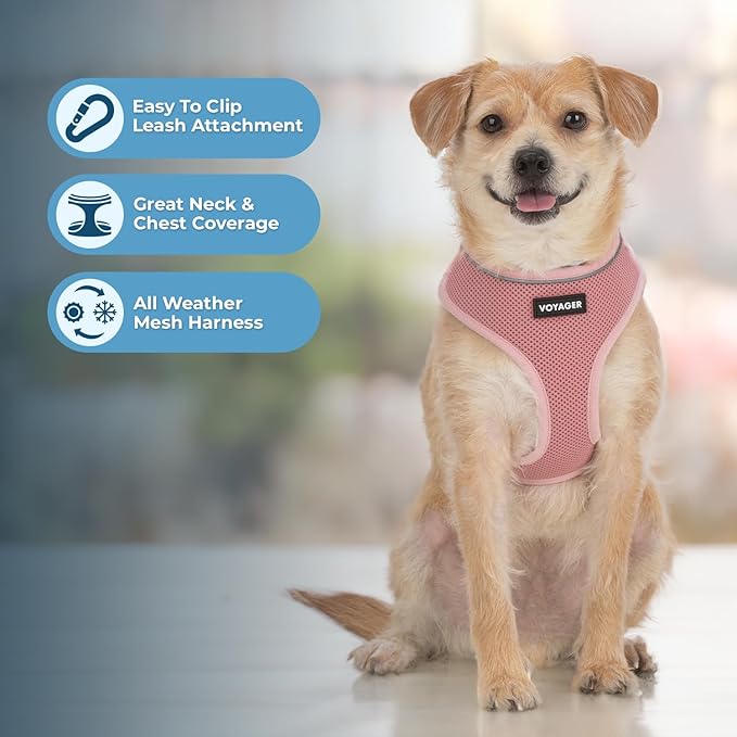 Best Pet Supplies Voyager Mesh Dog Breathable Harness Reflective Stitching, All Weather Adjustable for Walking Training, or Running - Heavy Duty & Durable, 220 Style (Pink), XS