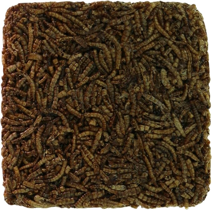 Wild Bird Mealworms Suet Cakes, High Protein Feed, Pack of 6, Size 4.5"x4.5"x1.0" Poultry Feed, Cattle Feed (4.5"x4.5"x1.0", Mealworms)