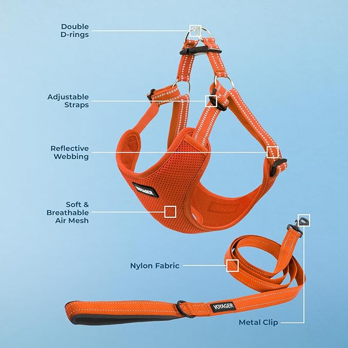 Best Pet Supplies Voyager Mesh Dog Breathable Harness Reflective Stitching, All Weather Adjustable for Walking Training, or Running - Heavy Duty & Durable, Harness Leash Set (Orange), L