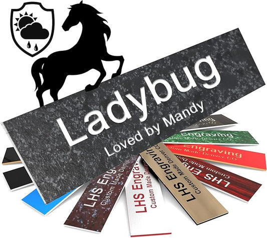 Personalized Horse Stall Name Plates, 2x8 Horse Stall Signs with Adhesive, All Weather UV Protected, Mojave Plastic White Letters - Made in USA - N8