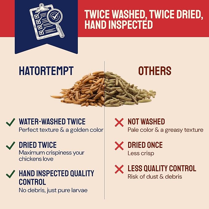 Hatortempt Chicken Feed & Treats - 10 Lb Non-GMO Bulk Larvae & Grubs - High-Protein Food for Laying Hens & Poultry - Grubs & Worms for Chickens & Bluebird Food - Calcium-Rich Supplement