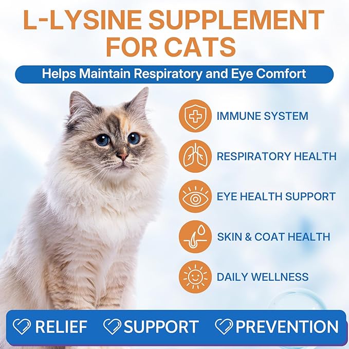 L-lysine Supplement for Cats, Immune Support for Cats, Support for Feline Respiratory, Sneezing, Runny Nose, Eye Function, Helps Strengthen Natural Defenses, Chicken Flavor, 60 ml/2 Fl Oz