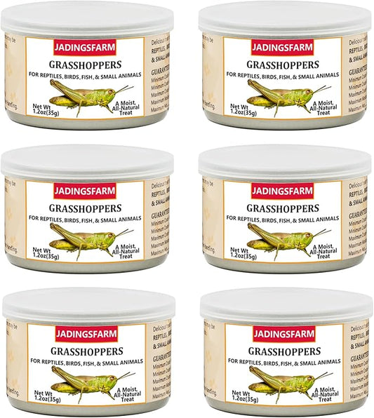 6 Pack Canned Grasshoppers for Reptiles, Fish, Birds and Small Animals, Grasshoppers, Healthy High Protein Treat, Bearded Dragon Food 7.2 Ounces Total