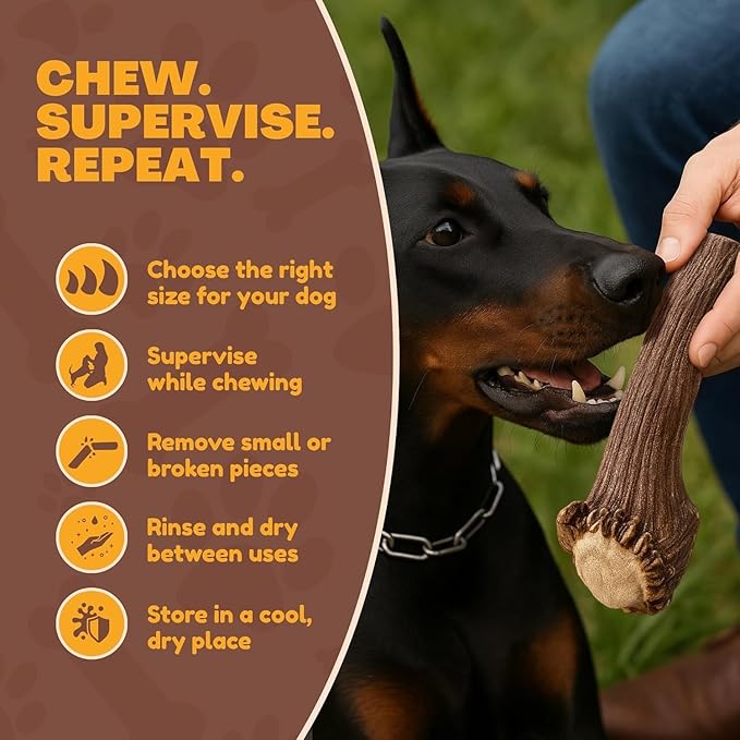 WhiteTail Naturals Dog Chews - Split Elk Antlers for Large Dogs, Agressive Chewers - Antler Dog Bones - Long Lasting Naturally Shed Deer Horns