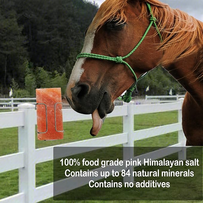 kathson Himalayan Salt Block for Horses,Pack of 2 (8 x 4 x1 Inche) Natural Mineral Salt Block with Vital Minerals Animal Licking Salt Brick for Deer Cattle Sheep and Other Livestock