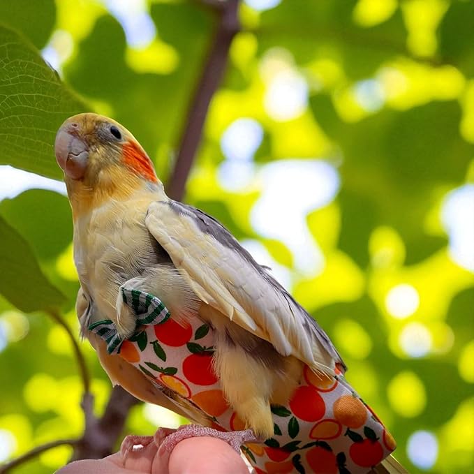 6PCS Washable Reusable Bird Diapers with Waterproof Lining & Adjustable Straps – Soft Parrot Diaper Clothes Costume Set for for Parakeets, for Budgies, for Mini Macaws (M)