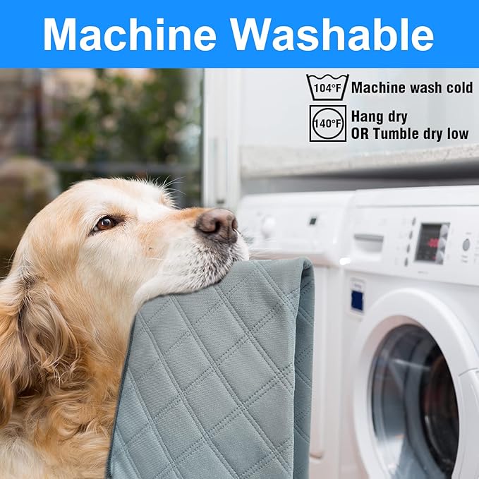 RIOUSSI Washable Pee Pads for Dogs, Reusable, Absorbent, Leakproof, Non Slip Pet Puppy Pads for Potty Training. Light Gray, 20x28 Inch(4pack)