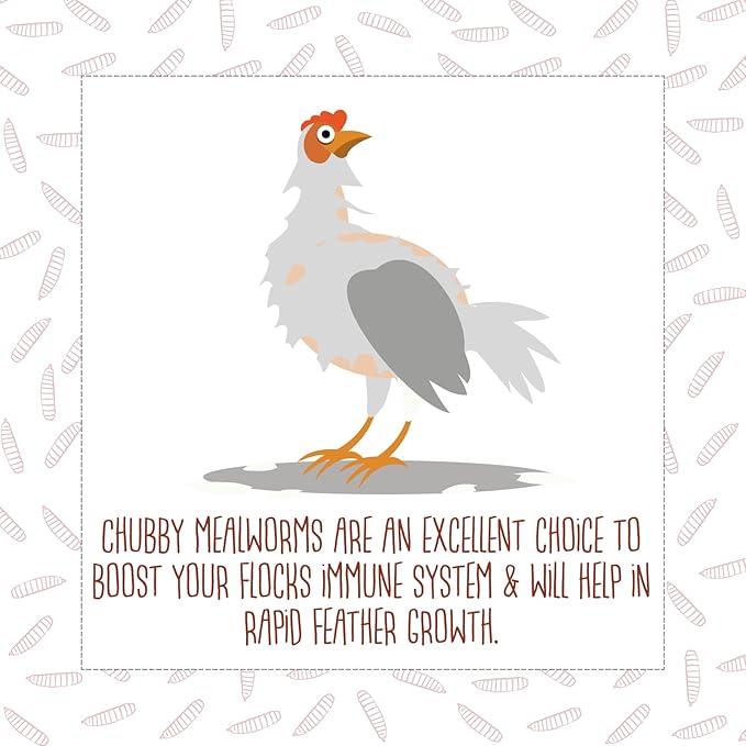 Chubby Mealworms 7LB Bulk Dried Mealworms High Protein Treat for Chickens, Ducks, Birds and Much More