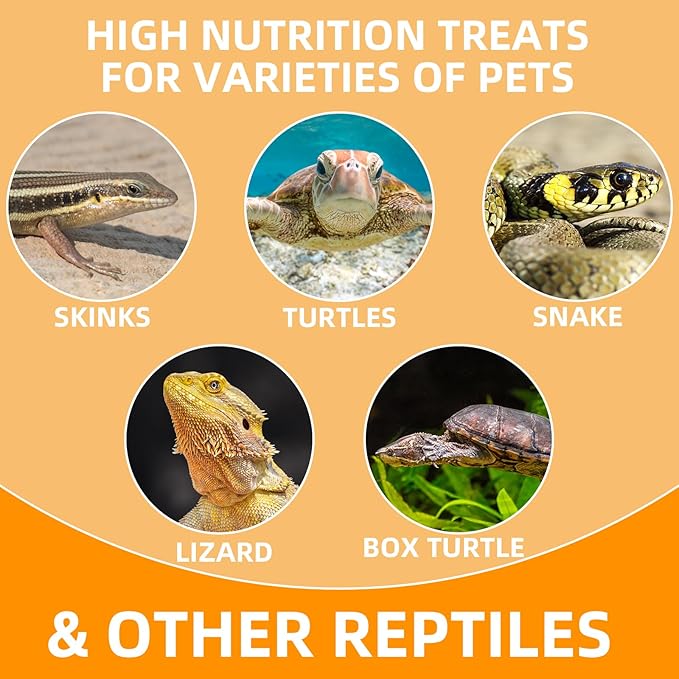 6 Pack Canned Snails for Reptiles, Fish, Birds and Small Animals, Snails, Healthy High Protein Treat, Reptile Bird Fish Food 7.2 Ounces Total