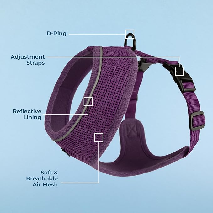 Best Pet Supplies Voyager Mesh Dog Breathable Harness Reflective Stitching, All Weather Adjustable for Walking Training, or Running - Heavy Duty & Durable, 220 Style (Purple), S