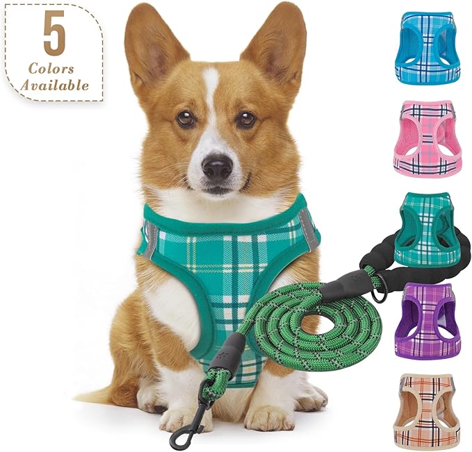 Athena Collection Step-in Dog Harness with 5 ft Leash, Small to Medium Dog Harness Leash Set Medium No Pull Dog Vest Harness with Reflective Strips Adjustable Velcro, Easy Walk Puppy Harness, Green