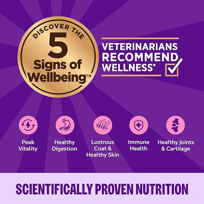 Wellness Complete Health Pate Adult Wet Cat Food, Natural, Protein-Rich, Grain Free, 5.5 Ounce, 24 Pack, (Turkey)