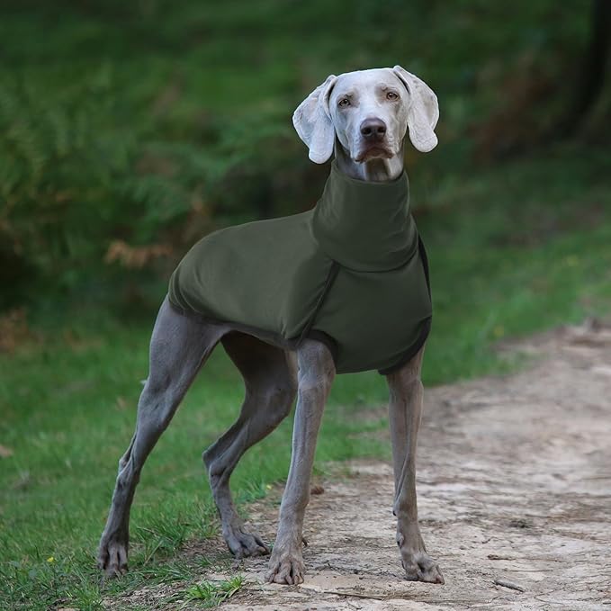 ROZKITCH Dog Winter Coat Soft Pullover Pajamas, Pet Windproof Warm Cold Weather Jacket Vest Cozy Jumpsuit Apparel Outfit Clothes for Walking Hiking Travel Sleep Green 2XL