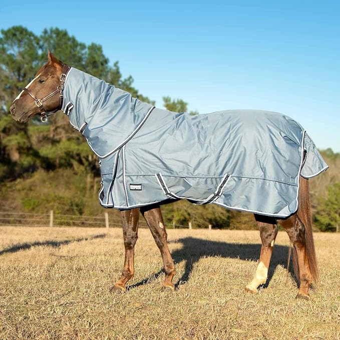 Jeffers Poplar Head Refuge 1200D Waterproof Horse Turnout Blanket, Detachable Neck, 360g Insulation, Winter Stable Sheet, Windproof, Heavy Duty Equine Rug for Cold Weather, Hamilton Blue, 72"