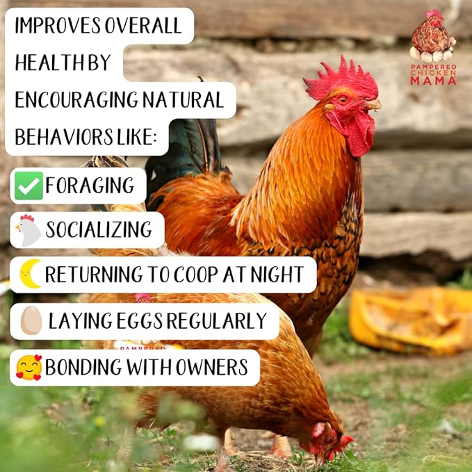 Pampered Chicken Mama Molting Supplement for Chickens: Fluffiest Feathers Ever Backyard Chicken Feed and Supplies for Hens (2 pounds)
