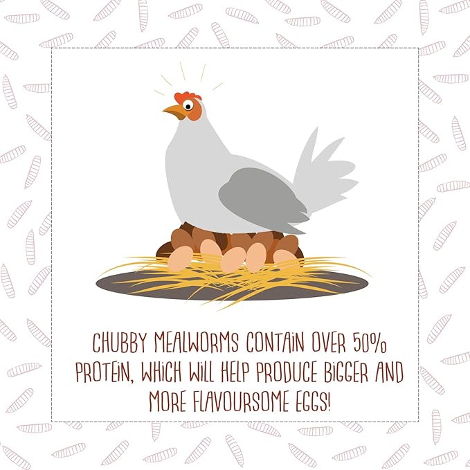 Chubby Mealworms 7LB Bulk Dried Mealworms High Protein Treat for Chickens, Ducks, Birds and Much More