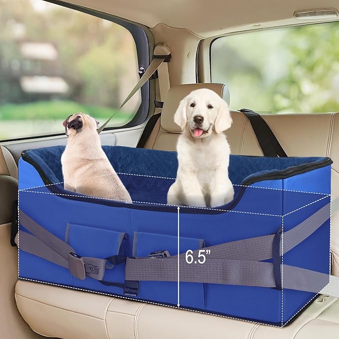 INFANZIA Dog Booster Car Seat for Small Medium Large Dogs, Elevated Pet Car Seats with Safety Leash for Pets Under (Royal Blue, Large)