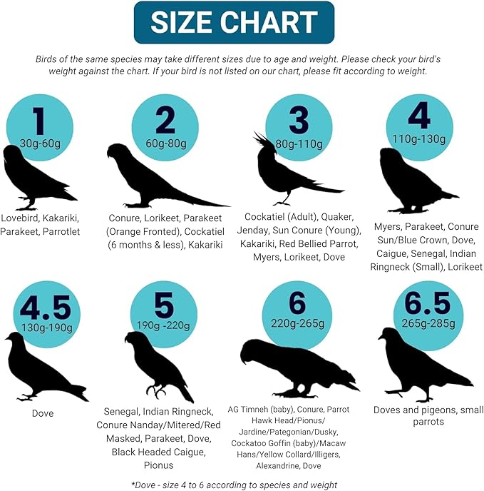 Bev's Bird Boutique Regular Flyper Adjustable Bird Diaper | Reusable, Washable Cloth | Comfort Fit for Parrot, Cockatiels, & Other Small Birds | Fashionable Avian Accessories, Navy & Red, Size 9.5