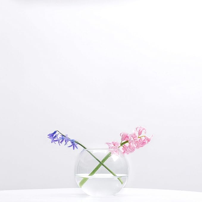 WGV Bowl Glass Vase, Diameter 6", Height 4.5", Open Width 4", (Multiple Sizes Choices) Clear Bubble Planter Terrarium Fish Bowl for Wedding Event Home Decor, 1 Piece (VBW0006A)