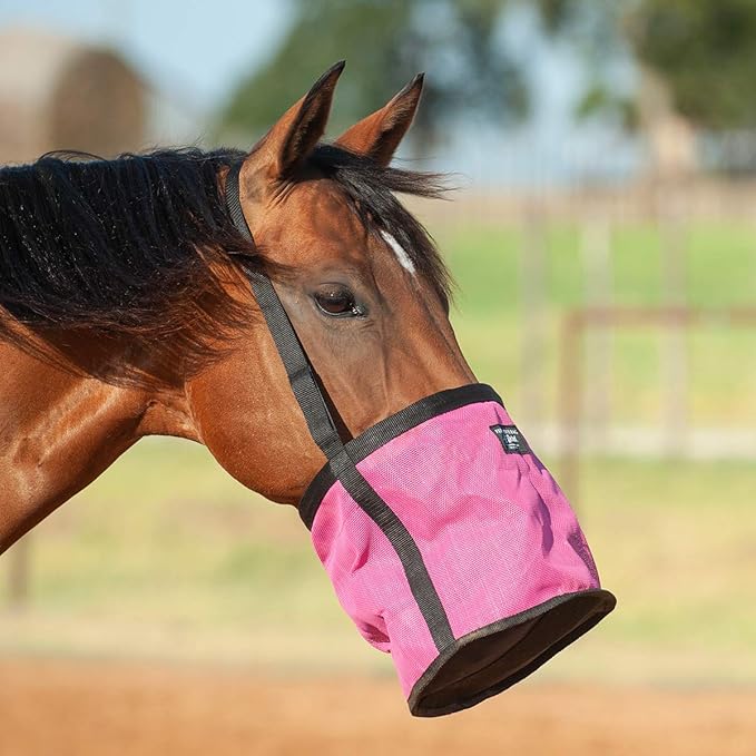 Cashel Company Feed Rite Bag Horse Pink, (FRB-PNK)