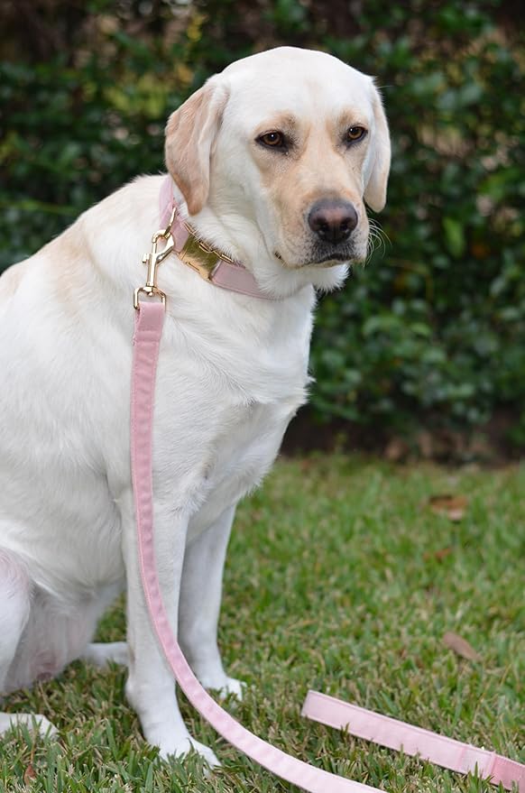 PETDURO Custom Dog Collar Personalized with Name Engraved Quick Release Rose Gold Metal Buckle for Large Medium Small Girl Dogs - Dog Leash and Bow Tie Available - Soft Comfy Velvet (Pink, XL)