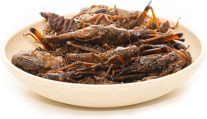 6 Pack Canned Grasshoppers for Reptiles, Fish, Birds and Small Animals, Grasshoppers, Healthy High Protein Treat, Bearded Dragon Food 7.2 Ounces Total