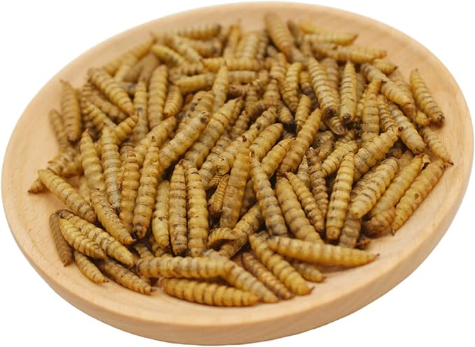 Premium Chicken Treats 1LB - Non-GMO & 85X More Calcium Than Meal Worms - Molting & Laying Supplement - BSF Larvae Treats for Layer Hens, Ducks Wild Birds