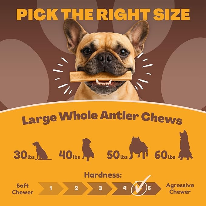 WhiteTail Naturals - Split Elk Antlers for Large Dogs - (3 Pack-Large) - Antler Dog Chews - Long Lasting Dog Chew Bone for Aggressive Chewers