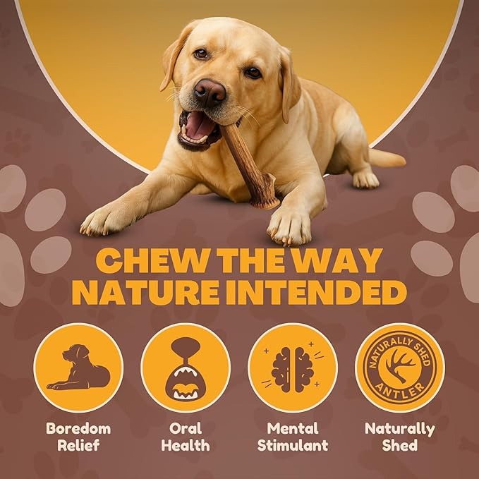 WhiteTail Naturals Dog Chews - Split Elk Antlers for Large Dogs, Agressive Chewers - Antler Dog Bones - Long Lasting Naturally Shed Deer Horns
