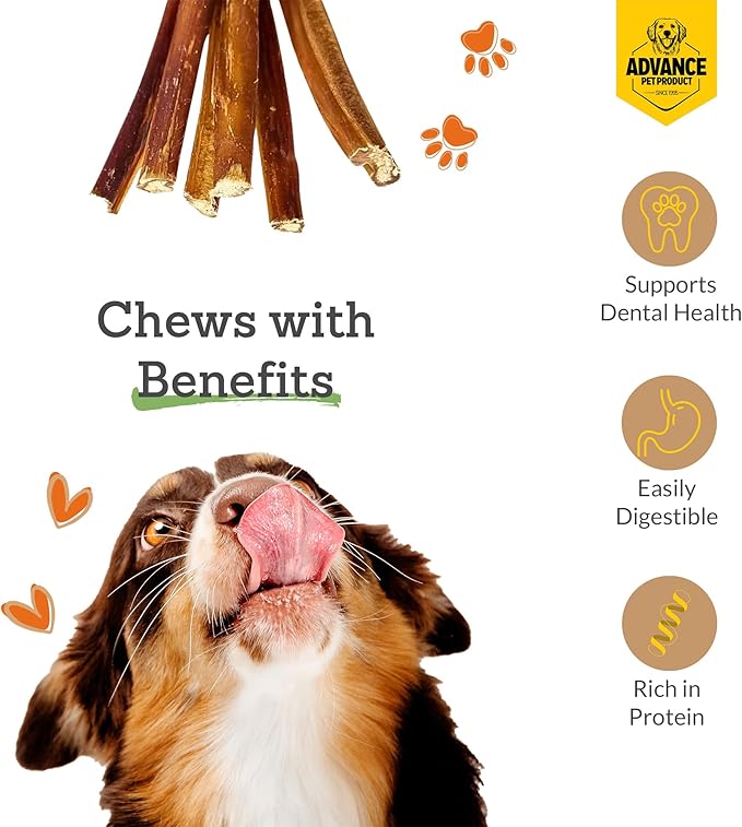 Advance Pet Products Bully Sticks for Dogs, 6 Inch Chews, Natural Long-Lasting Dog Treats, 100 Count Bulk Pack
