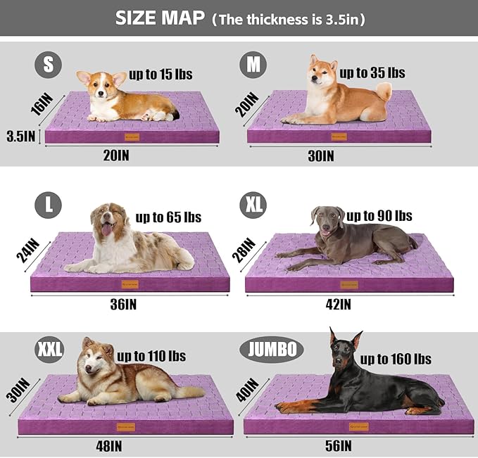 Patas Lague Orthopedic Dog Bed for Small Dogs 20''X15'', Waterproof Soft Warm Comfortable Egg Crate Foam Small Pet Beds Mat with Removable Washable Cover and Nonskid Bottom, Pueple