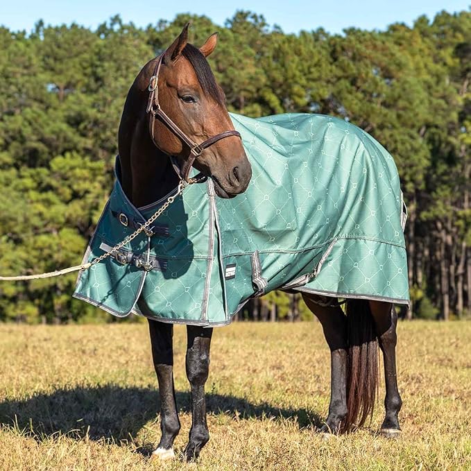 Jeffers Poplar Head 1200 Denier Turnout Sheet for Horses, 0g Polyfill, 66"- Waterproof Lightweight Horse Blanket, Adjustable Chest Belly Straps, Tail Flap, Stable Blanket - Spruce Stirrup Irons