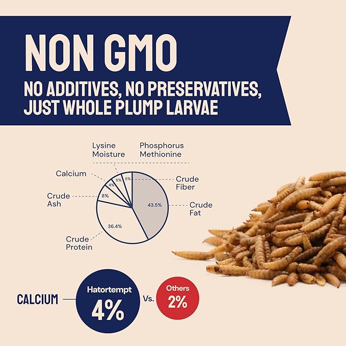 Hatortempt Chicken Feed & Treats - 10 Lb Non-GMO Bulk Larvae & Grubs - High-Protein Food for Laying Hens & Poultry - Grubs & Worms for Chickens & Bluebird Food - Calcium-Rich Supplement