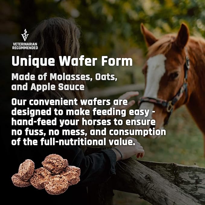 Majesty's BIO+ Biotin Wafers - Superior Horse/Equine Hoof and Coat Support Supplement - Copper, Zinc, Lysine, Methionine (2 Pack(120 Count Total))