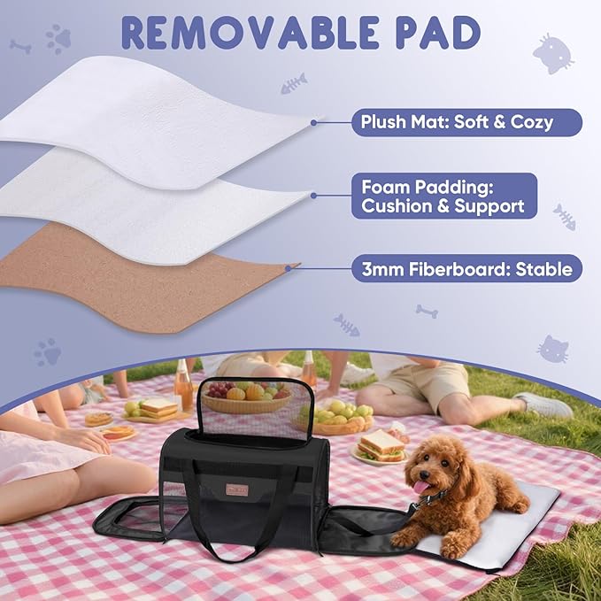 BALEINE Cat Carrier, Puppy Dog Carrier for Small Medium Pets Up to 22 Lbs, Soft-Sided Dog Travel Bag with Safety Zippers, Collapsible Pet Carrying Case (Black, XL, 19"x12"x12")