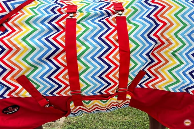 HILASON 1200D Winter Waterproof Poly Horse Hood Turnout Neck Blanket Belly Wrap Rainbow Zigzag | Blankets for Horses