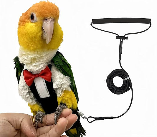 Bird Diapers Bird Harness Tuxedo Flight Suits with 80in Flying Leash Parrot Nappy with Waterproof Inner Layer Urine Wet Suite for Cockatiel Conure Parakeet Macaw Budgie-Black,M
